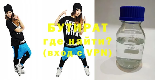 хмурый Верея