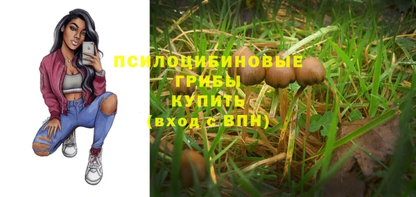 не бодяженный Волоколамск