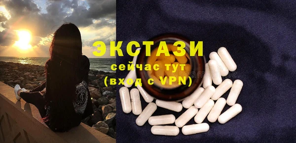 дживик Вязьма