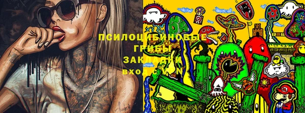 дживик Вязьма