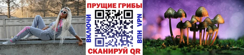 omg зеркало  купить  цена  Дигора  Галлюциногенные грибы MAGIC MUSHROOMS 